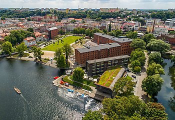 Młyny Rothera i „Plastyk” łączą siły. Nowa współpraca dla młodych artystów