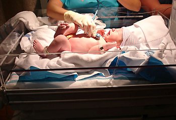 Neonatologia 2026 w Bydgoszczy. Dwa dni wykładów i warsztatów... na wagę życia