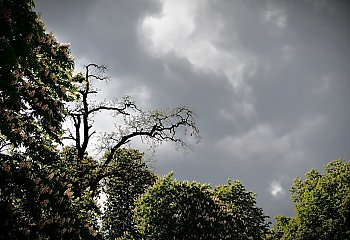 Przelotne opady i ochłodzenie w Bydgoszczy [POGODA]