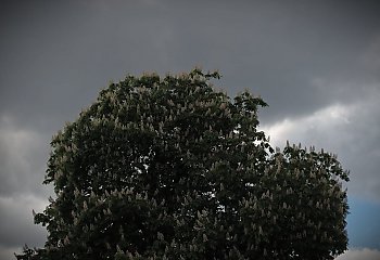 Wiatr i chmury nad Bydgoszczą [POGODA]