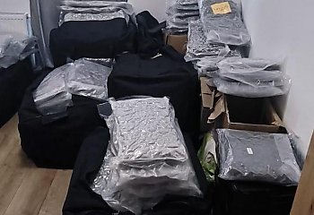 Narkotyki za prawie 10 mln zł w mieszkaniu w Bydgoszczy. Cztery osoby aresztowane