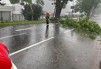 Miasto-gąbka poległo. Ulewa zatopiła Bydgoszcz