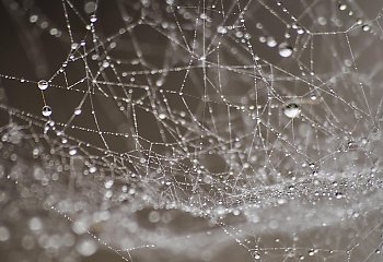 Bydgoszcz: rześkie poranki, ciepłe dni i miejscami przelotny deszcz