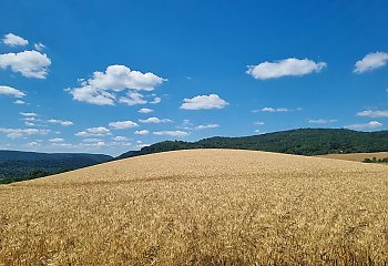 Poranki chłodne, popołudnia ciepłe [POGODA]