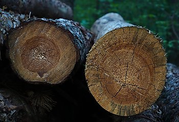 Przelotny deszcz rano, potem bardziej pogodnie i chłodniej [POGODA]