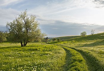 Naukowcy z Politechniki Bydgoskiej współautorami światowego przełomu. Badania opublikowano w prestiżowym „Science Advances”