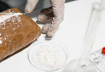 Policyjne uderzenie w narkobiznes w Bydgoszczy. Zabezpieczono kilkadziesiąt kilogramów narkotyków