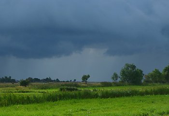 Przelotne opady i porywy wiatru, potem przejaśnienia [POGODA]