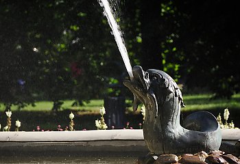 Chłodny, porywisty poranek, suche popołudnie [POGODA]