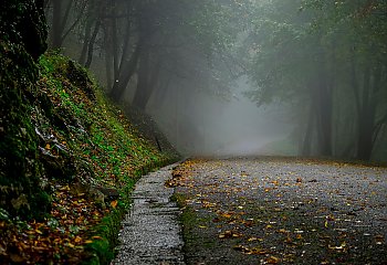 Dużo chmur, ale bez deszczu [POGODA]