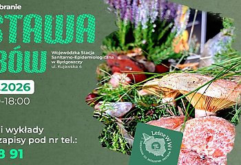 Grzybobranie bez zgadywania. W Bydgoszczy specjaliści pokażą, jak rozpoznawać gatunki