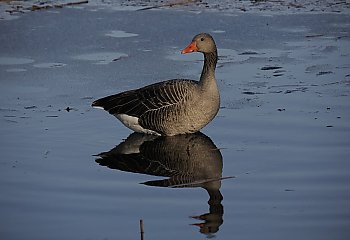 Ciepła sobota, deszczowa niedziela [POGODA]