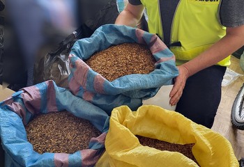Włocławek: Kontrabanda papierosowa zatrzymana!