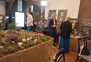 Piękne, smaczne i śmiertelnie niebezpieczne. Wielka Wystawa Grzybów ruszyła w Bydgoszczy