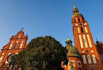 Dzwony Świętej Trójcy mieszczą się w normach. Nowy etap głośnego sporu w Bydgoszczy