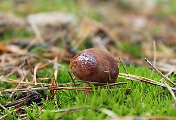 Łagodny piątek, potem więcej chmur [POGODA]