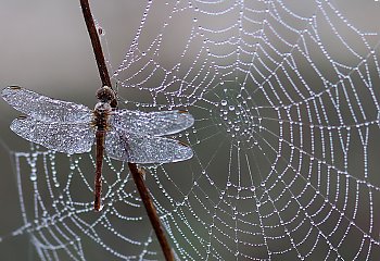 Trochę zimy... A kiedy będzie trochę lata? [POGODA]