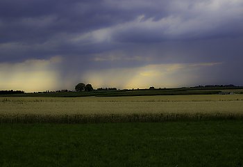 Wciąż pochmurno, może padać [POGODA]