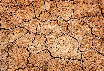 Dłuższy termin składania wniosków o pomoc w związku z suszą