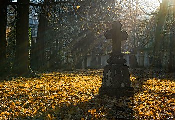 Dziś ciepło, długi weekend chłodniejszy [POGODA]