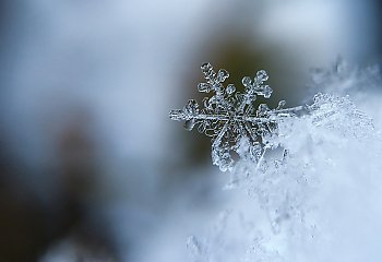 Dzisiaj śnieg - jutro deszcz [POGODA]