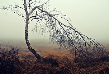 Nasza stabilna, zimowa jesień [POGODA]