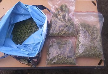 Pół kilograma marihuany na Leśnym i Błoniu
