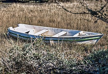 Słońce do świąt niemal pewne [POGODA]