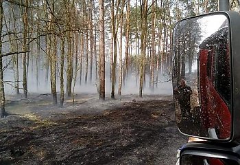 Wielki pożar lasu. Spłonęło już 40 hektarów [ZDJĘCIA]