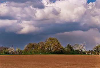 Żar i piach tropików [POGODA]