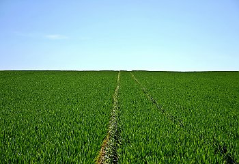 Zbliża się koniec suszy? To bardzo prawdopodobne [POGODA] 