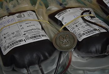 Terytorialsi oddali 15 litrów krwi 