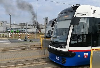 Ogień w Pesie. Palił się śmietnik 