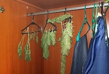 Narkotyki na Kapuściskach. 19-latek konopie suszył w szafie [ZDJĘCIA]