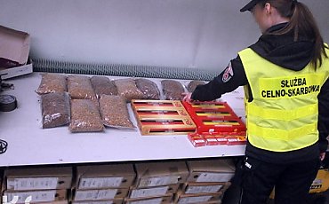 Nielegalny tytoń w Bydgoszczy i okolicy. Blisko 500 kilogramów