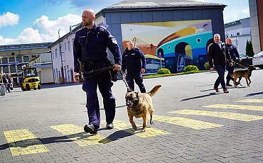 Policyjne ćwiczenia w bydgoskiej Pesie. Psy tropiące szukały materiałów wybuchowych i narkotyków