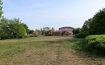 Teren zielony na Wyżynach ma zostać przekształcony w park. Miasto zleca pierwsze prace