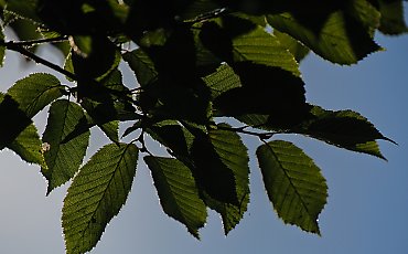 Jesień wciąż udaje lato [POGODA]