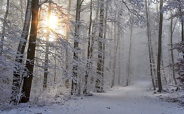 Śnieżyce na południu Polski. U nas bez większych zmian [POGODA]