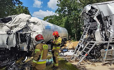 Śmiertelny wypadek na DK10 w Zielonczynie pod Bydgoszczą. Zderzyły się dwie ciężarówki [ZDJĘCIA]