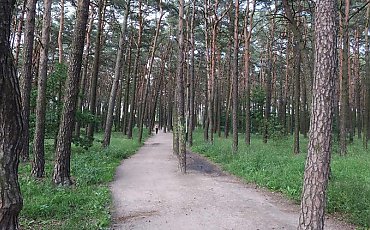 Na Kapuściskach wypięknieje park. Będą wygodne alejki