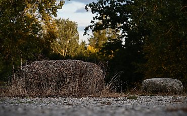  Bez szans na odmianę [POGODA]