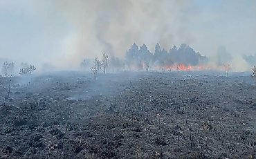 Pali się torf w Paterku. Katastrofalna sytuacja może potrwać kilka dni [WIDEO]