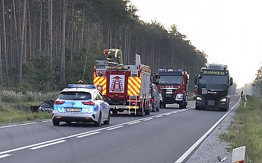 Samochód zderzył się z łosiem i stanął w płomieniach. Kierowca z ciężkimi obrażeniami w szpitalu