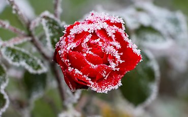 Temperatura spadła poniżej zera! [POGODA]