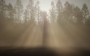 Złota i słoneczna. Po prostu jesień [POGODA]