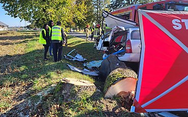 Zginął młody mężczyzna. Tragiczny wypadek na DW 534