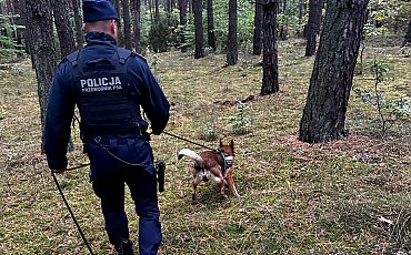 Zaginęła w lesie na grzybobraniu. Policja użyła psów tropiących