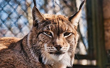 Wyjątkowe warsztaty w  bydgoskim zoo. Myślęcinek zaprasza