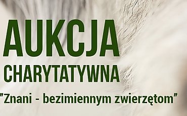 Aukcja charytatywna dla bezimiennych zwierząt. Organizatorzy zachęcają do udziału